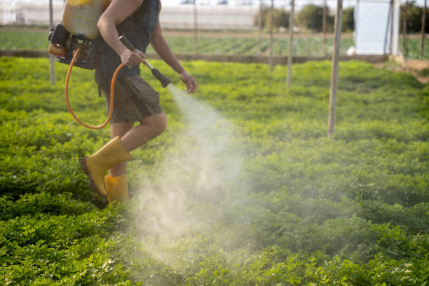 Best Affordable Pest Control Services  in Indian Springs Village, AL