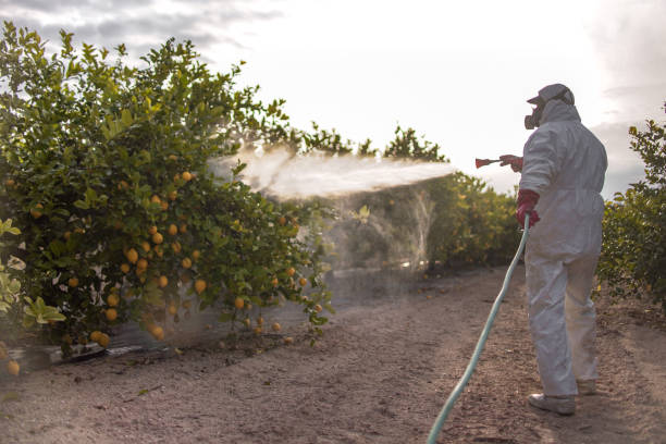 Flea Control Services in Indian Springs Village, AL