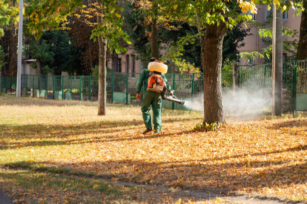 Best Mosquito Control Services  in Indian Springs Village, AL