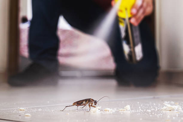 Pest Control for Restaurants in Indian Springs Village, AL