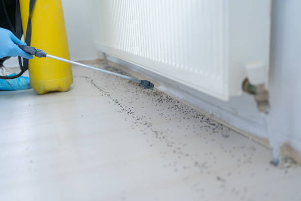 Best Commercial Pest Control Services  in Indian Springs Village, AL