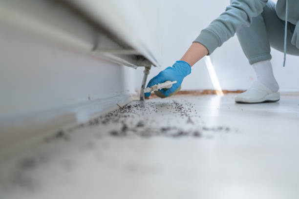 Trusted Indian Springs Village, AL Pest Control Experts