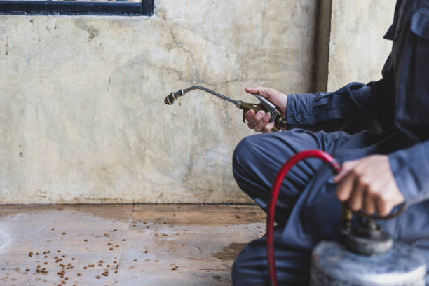 Best Best Pest Control Companies  in Indian Springs Village, AL